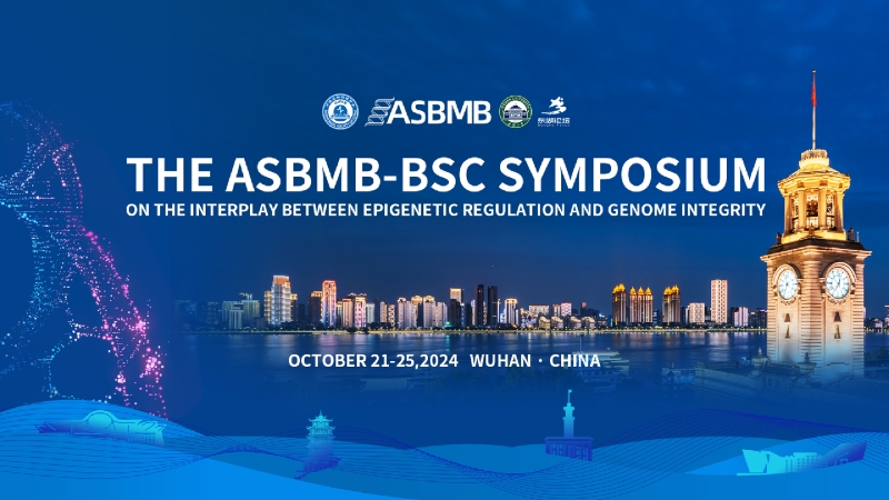 鯨躍策劃服務(wù)案例｜2024 ASBMB-BSC基因組穩(wěn)定性與表觀遺傳調(diào)控研討會